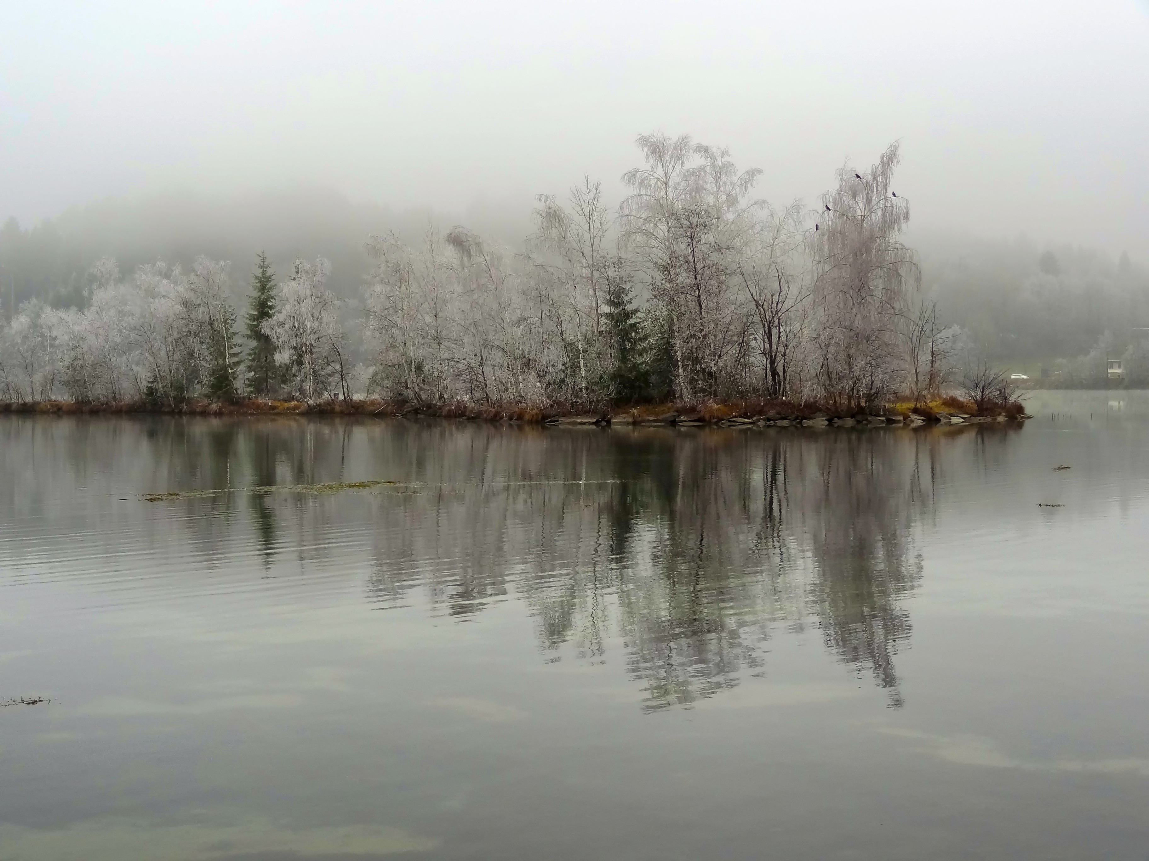 island in a lake