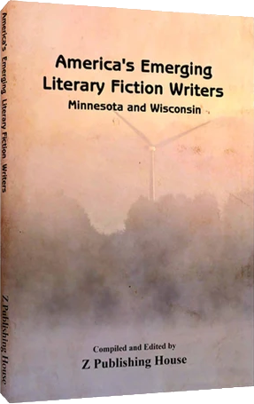 America's Emerging Literary Fiction Writers: Minnesota and Wisconsin Book Cover